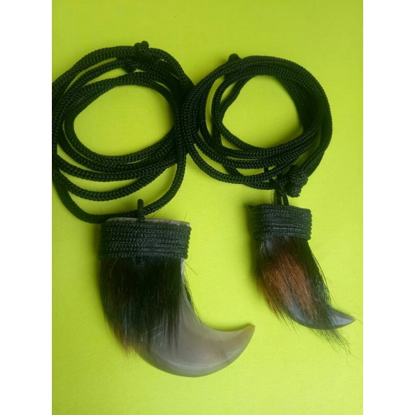 BARANG ANTIK KUKU MACAN