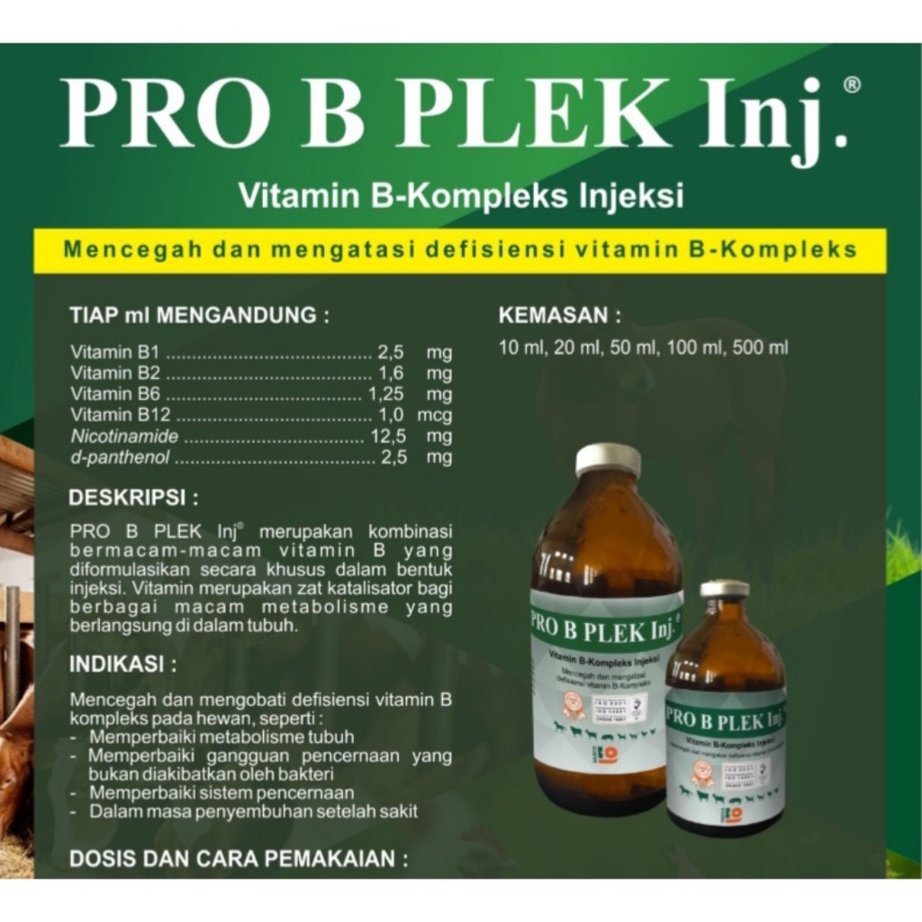 PRO B PLEK Inj 100 mL | Mencegah dan Mengatasi Defisiensi Vitamin B-Kompleks Pada Sapi Kambing Domba Kuda Anjing Kucing Ayam| VADCO | Apoternak