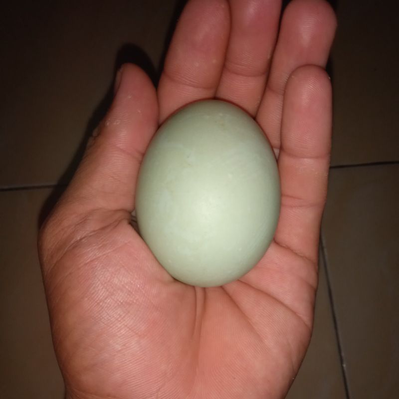 

Telor asin masir gurih