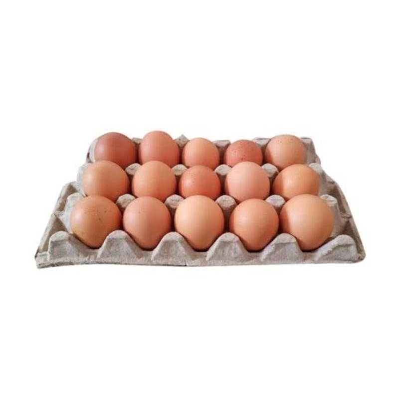 

Telor Ayam Negeri ½ Tray (isi 15)