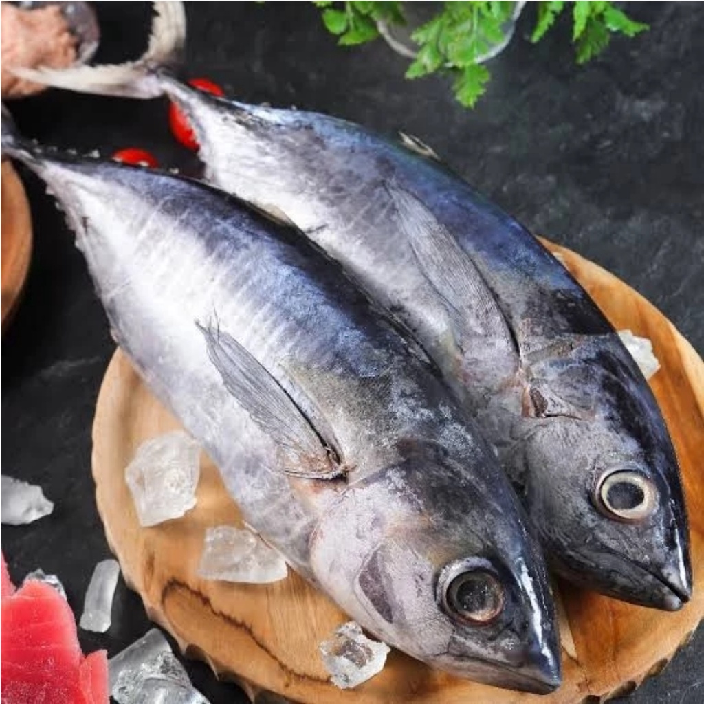 IKAN BABY TUNA - ikan segar/500 gram