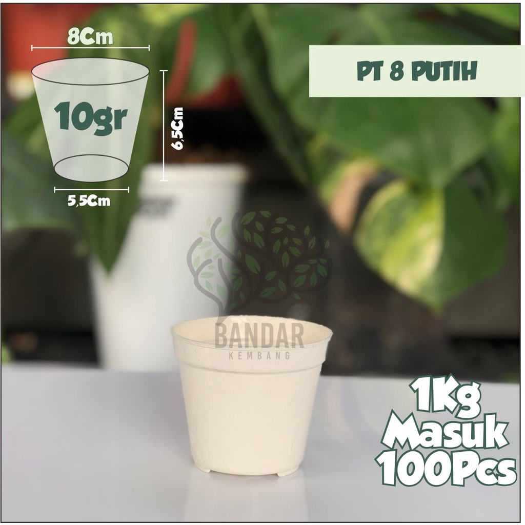 Pot Kecil Putih PT 8 Putih - Pot Tanaman Bunga Hias - Pot Bibit Bunga - Pot Tanaman Kecil Putih - Po