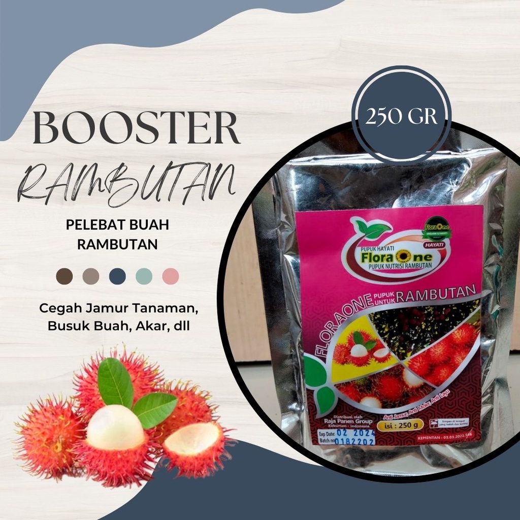 Booster Buah Rambutan, Pupuk Pelebat Rambutan Agar Cepat Berbuah, Boster Hayati Rabutan