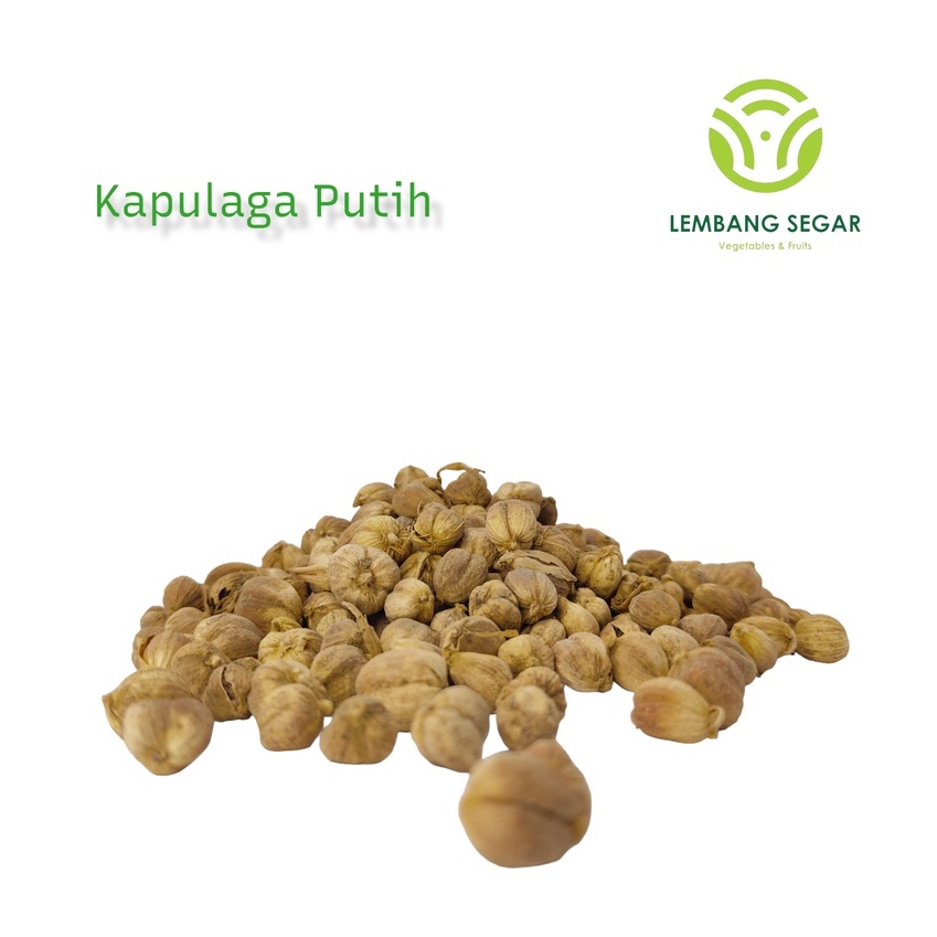 

Kapulaga Lokal / Kapolaga Putih / Dried Cardamon Lembang Segar
