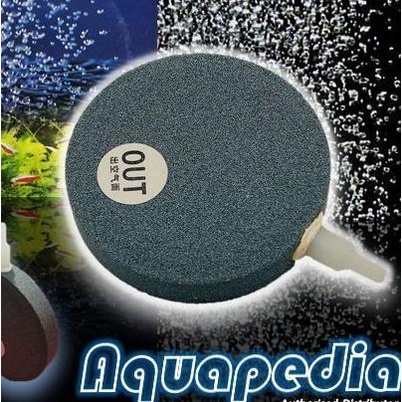 Air Stone/Batu Aerasi Bulat Pipih 15 cm