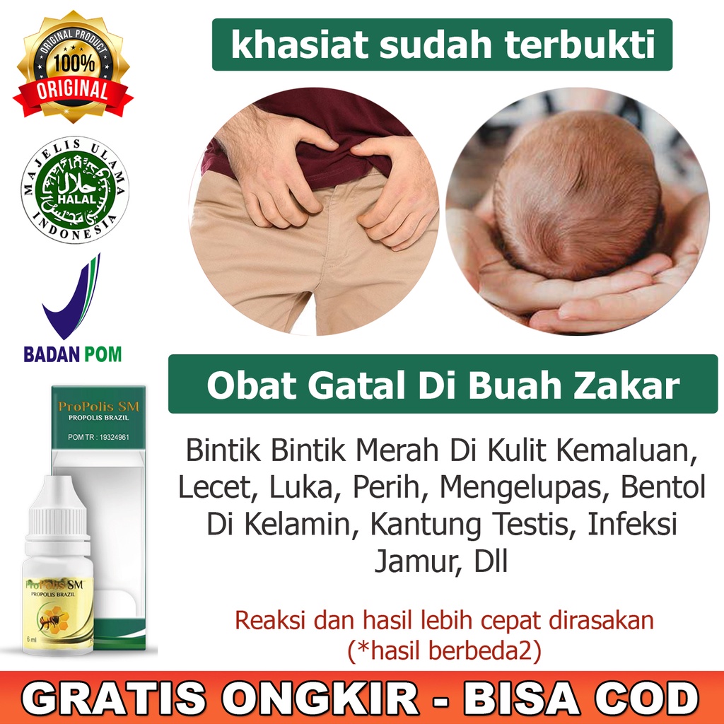 Obat Oles Gatal Buah Zakar Bintik Bintik Merah Di Kulit Kemaluan Lecet Luka Perih Mengelupas Bentol 
