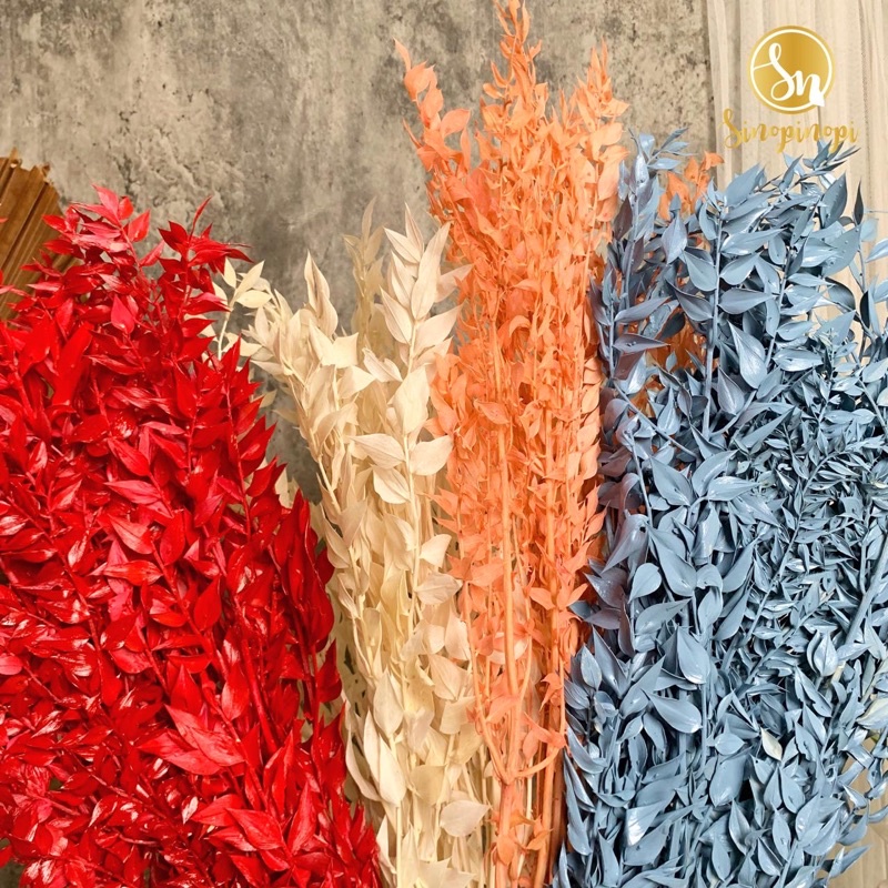 BUNGA RUSCUS KERING | DRIED FLOWER RUSTIC TANAMAN LAMARAN NIKAH DEKORASI BAHAN KERAJINAN HIAS MAHAR