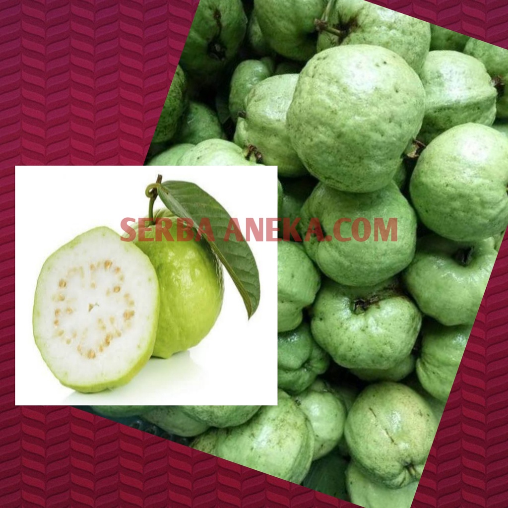 

( 1 Kgm ) ~ Jambu kristal segar