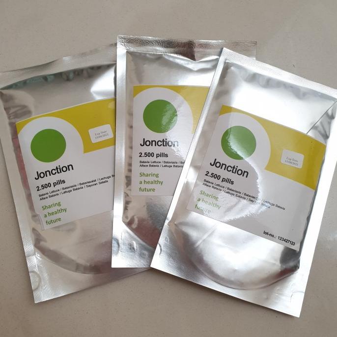 Benih Jonction RZ Batavia Lettuce Jonction Rijk Zwaan (2500 seeds)