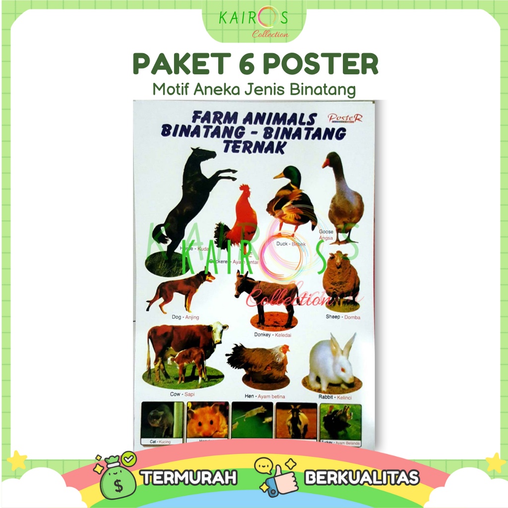 Poster Anak Edukasi Belajar Binatang Paket Isi 6 Pcs