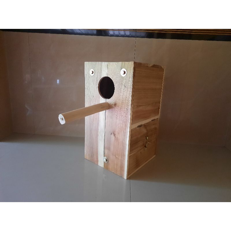 glodok burung nuri, irn ,conour serta falk