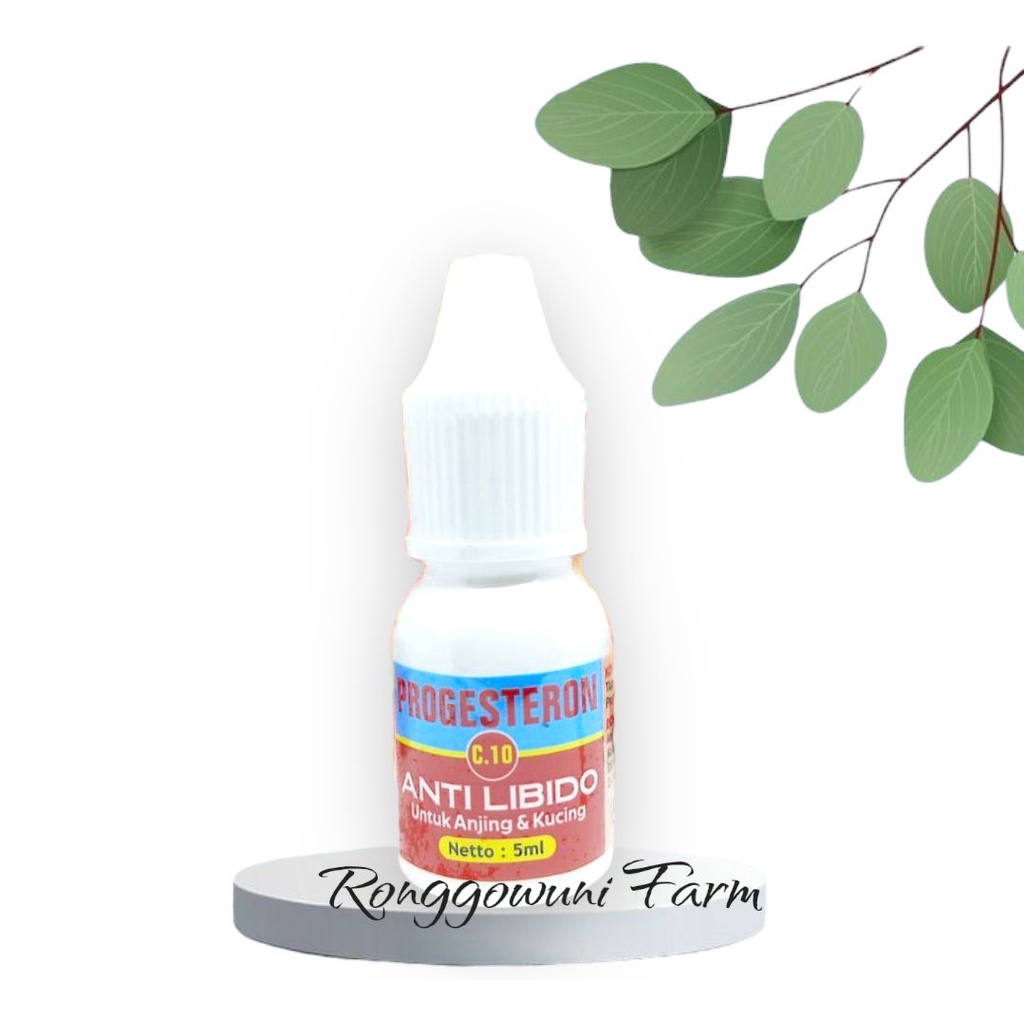 PROGESTERON 5 ml Anti LBDO untuk Anjing dan Kucing
