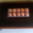 

1 mika isi 10 Telur Omega 3