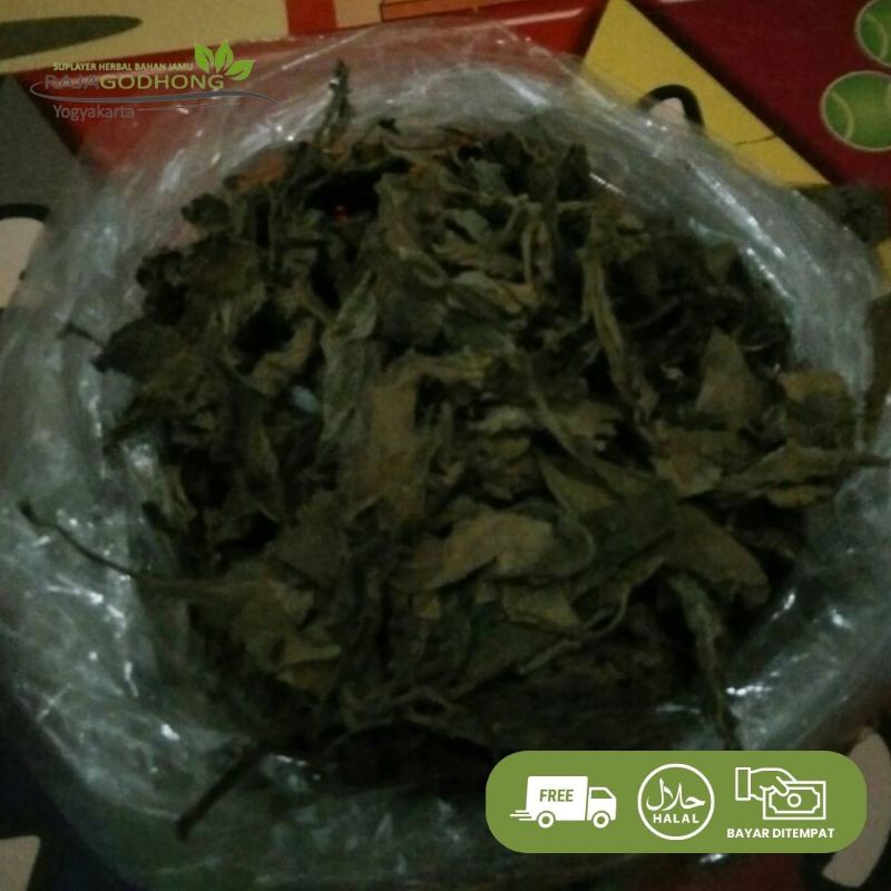 

daun sambung nyawa kering berkualitas 500 gram dan 1 kg