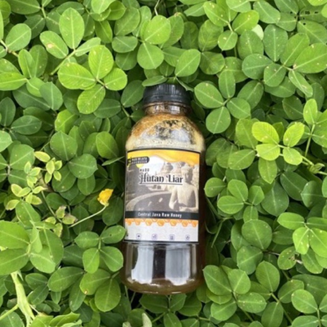 

Madu Hutan Liar Asli 100% Murni 250gram