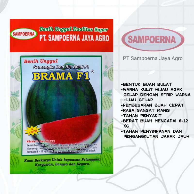 Benih semangka non biji BRAMA