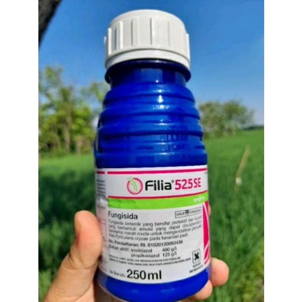 fungisida filia 250ml