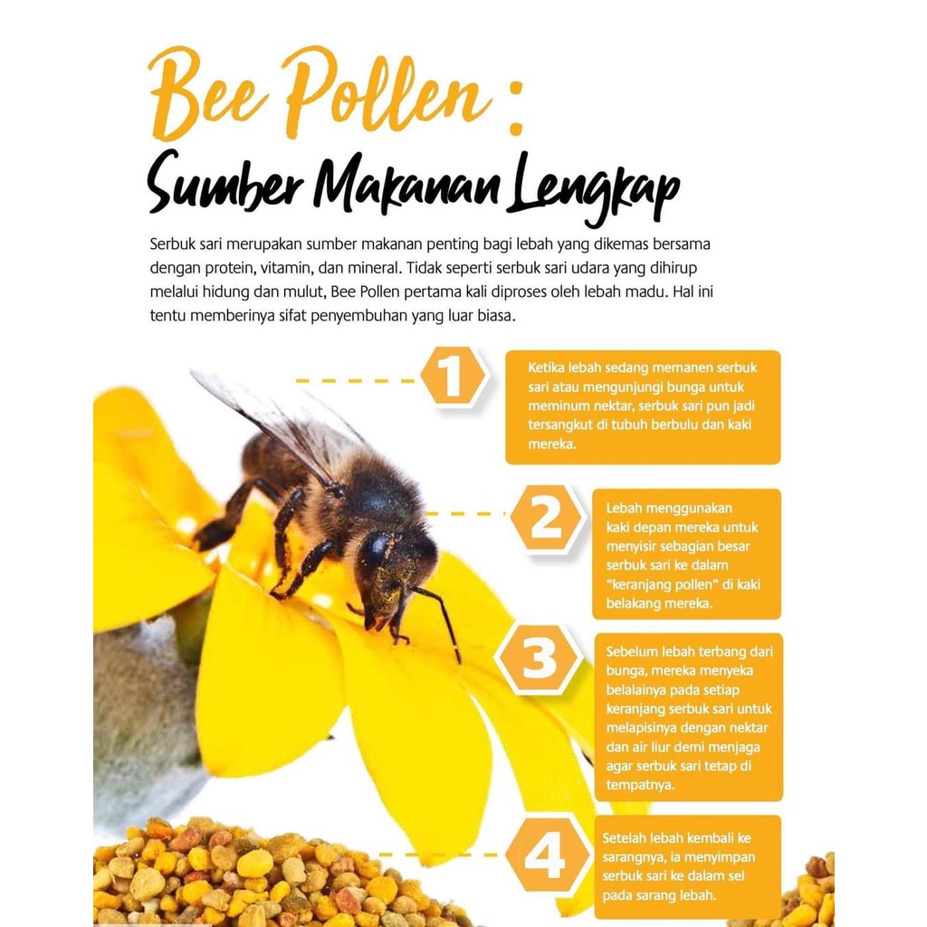 

QH Bee Pollen Organik Murni granules 1kg
