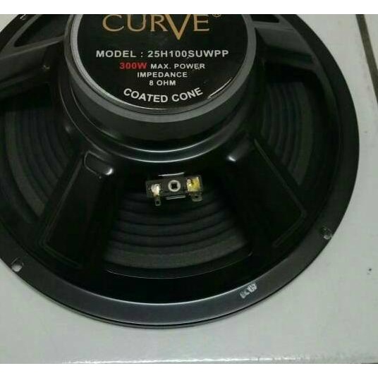 Speaker CURVE 10 Inch