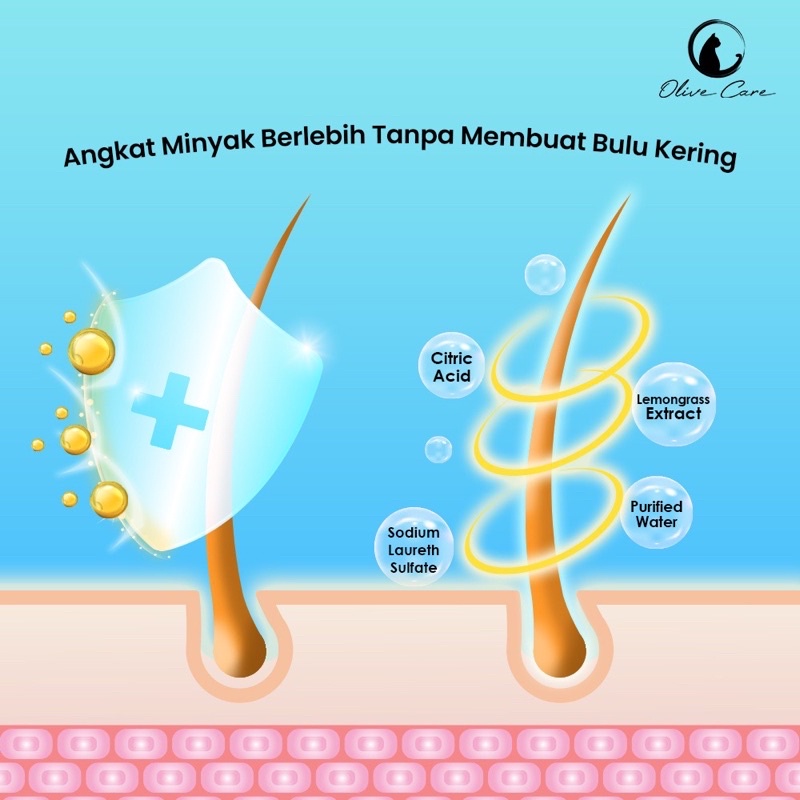 Olive Care Shampoo kucing 60ml Oil Free Degreaser untuk mengangkat minyak berlebih di bulu kucing