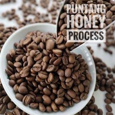 

KOPI ARABIKA PUNTANG HONEY PROCESS, BIJI/BUBUK 500 GRAM