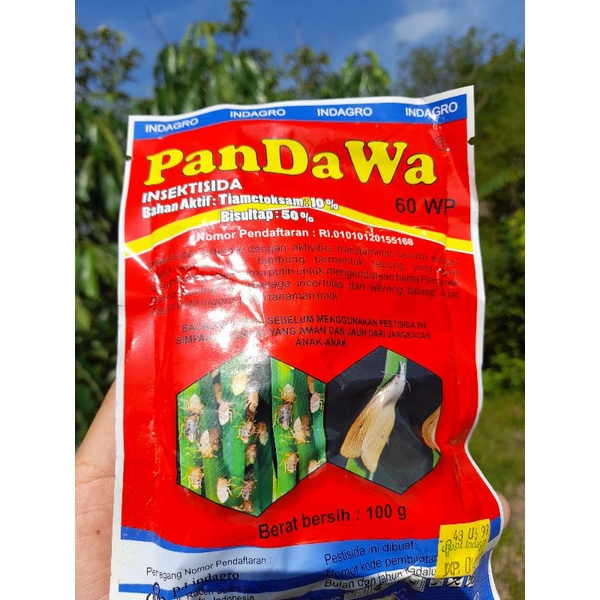 Pandawa Insektisida Pembasmi Hama Penggerek batang dan Wereng