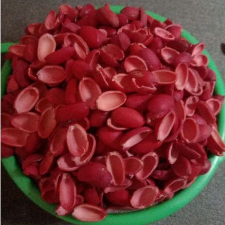 

Kulit melinjo 1kg (sedang musim harga murah)