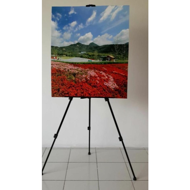 

Tripod display Pigura & & lukis