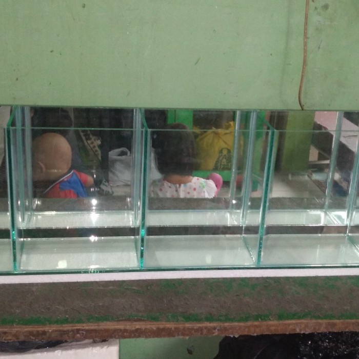 etalase kaca display buah jus uk 100x12x25 5 kotak