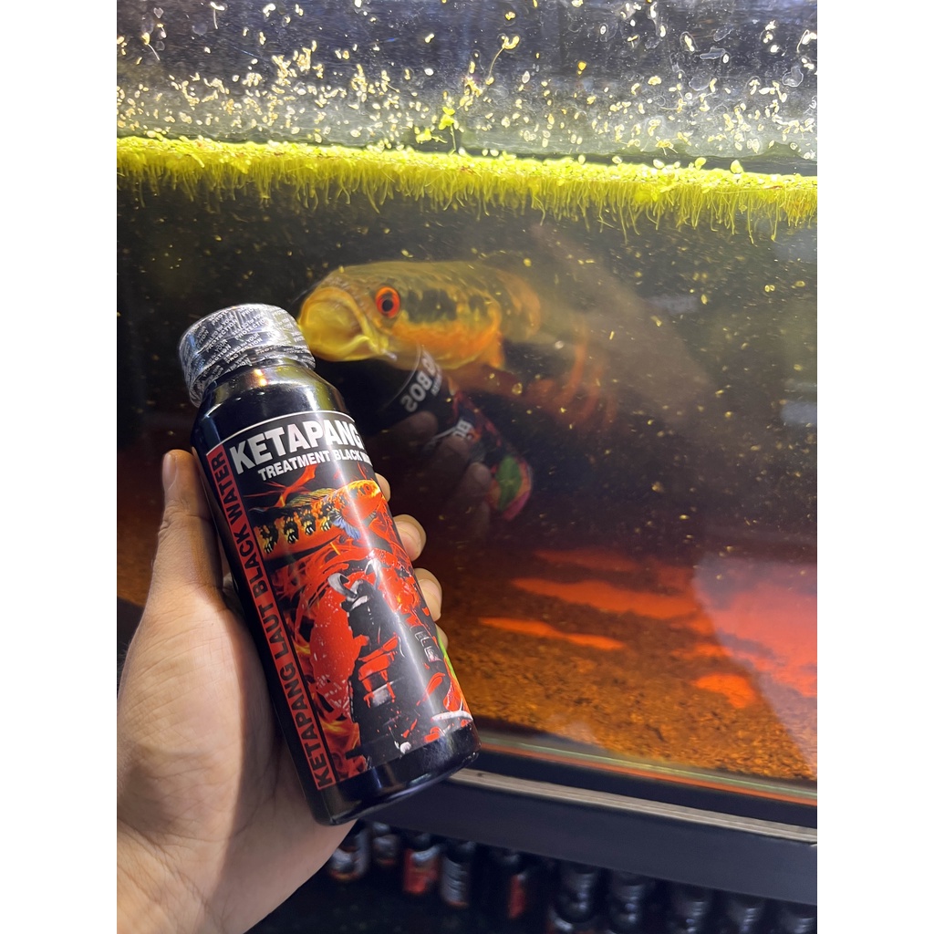 EKSTRAK KETAPANG BOS 250 ml ( KETAPANG LAUT LUMER BLACK WATER PROGRESS CHANNA)