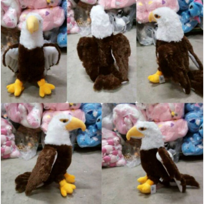 Boneka burung elang ukuran 40cm