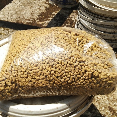 Pur babi Penggemuk Ayam ( 750 gram ) Pakan Layer Ayam Itik Bangkok Bebek Cepat Besar