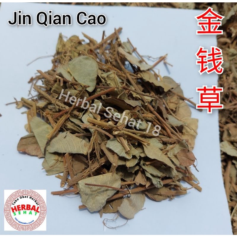 

Jin Qian Cao 金钱草 Cin Cien Co - Jin Qien Co - Lysimachia