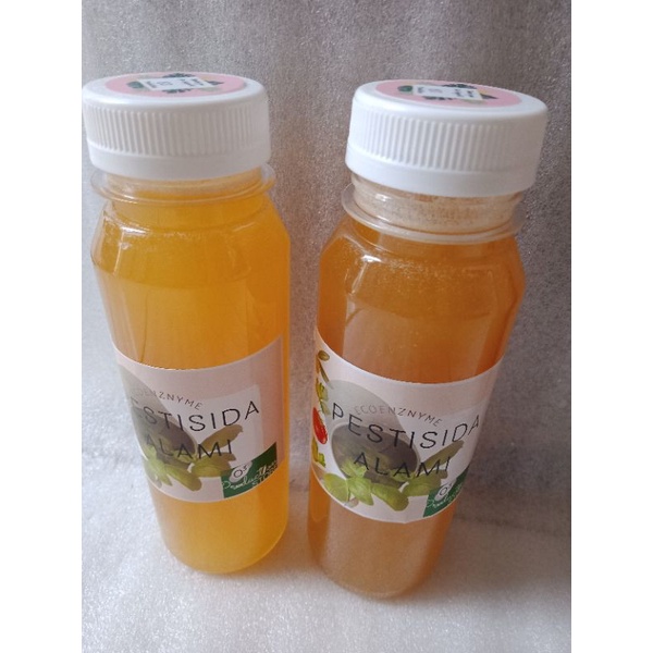 Pestisida Alami Ecoenznyme