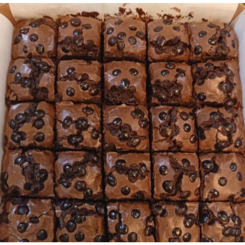 

Fudgy Brownies Full Chocochips