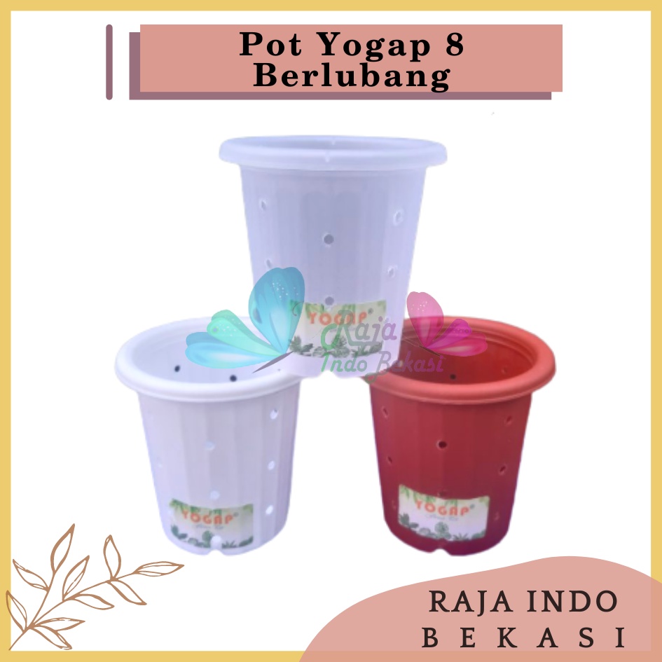 Pot Yogap 8 BERLUBANG Putih Bening Transparan Merah Bata Merah Coklat Terracota Terracotta-POT BUNGA YOGAP YPT 13 BERLUBANG BENING / TRANSPARAN PUTIH &amp; MERAH BATA | POT TANAMAN HIAS