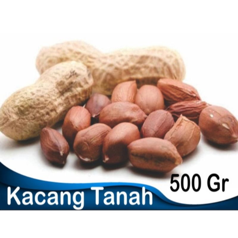 

Kacang Tanah Kemasan 1 kg