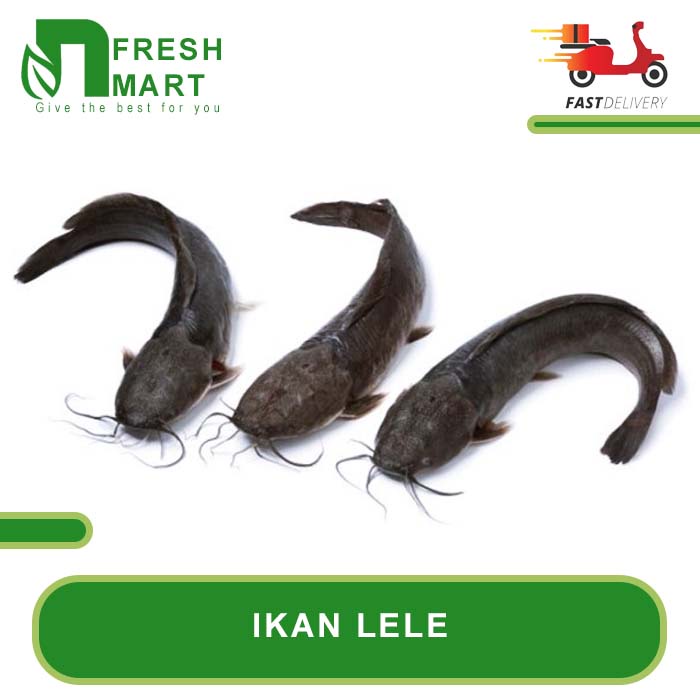 

IKAN LELE SEGAR 1kg - N FRESH MART