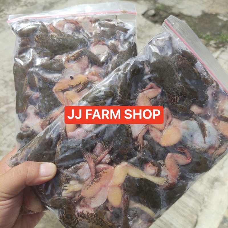 kodok beku katak beku pakan makanan ikan predator arwana dll fresh seger