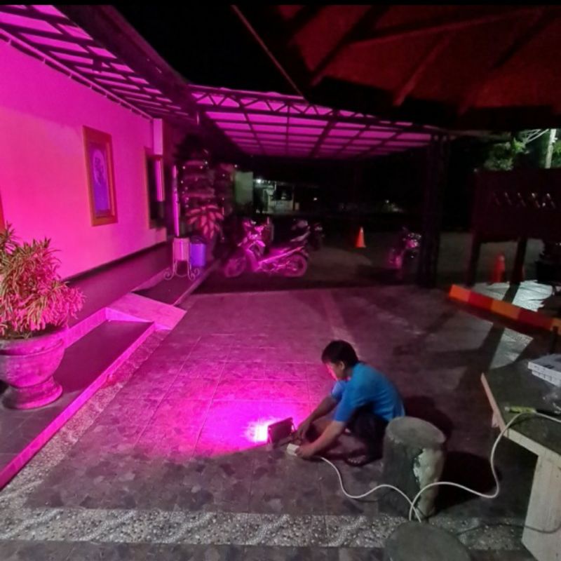 Lampu tanaman pengganti sinar matahari led 50 watt 220 v