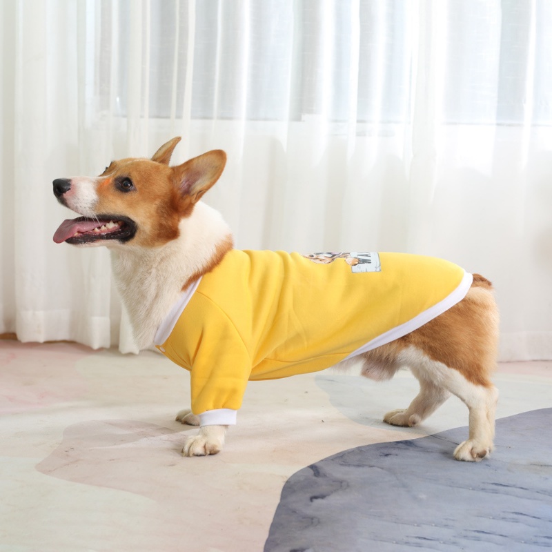 Sweater Bahan Fleece Warna Kuning Ukuran Besar Untuk Anjing