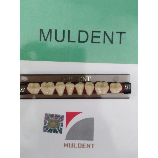 GIGI PALSU / GIGI MULDENT GERAHAM BAWAH / PER BARIS ISI 8 PCS / UKURAN M33L : A2