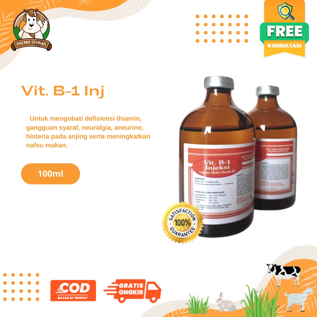 VITAMIN B1 Injeksi 100ml (oren) - Obat Lumpuh Ternak - Thiamin Hydraclorium 100 mg - Thiamin - Obat Lumpuh Hewan - Obat Lumpuh Ternak