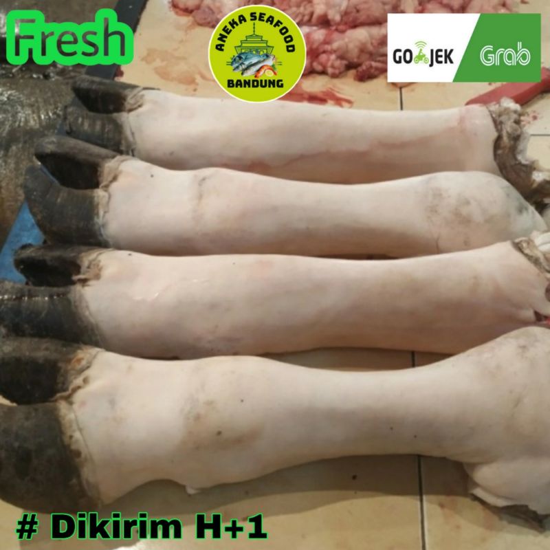 

Kaki Sapi Segar / Cokor Sapi Lokal Satuan Utuh 2.Kg (Bukan Import)