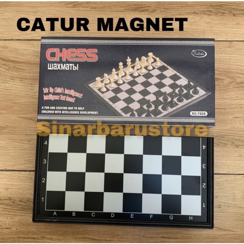 Catur Magnet Besar