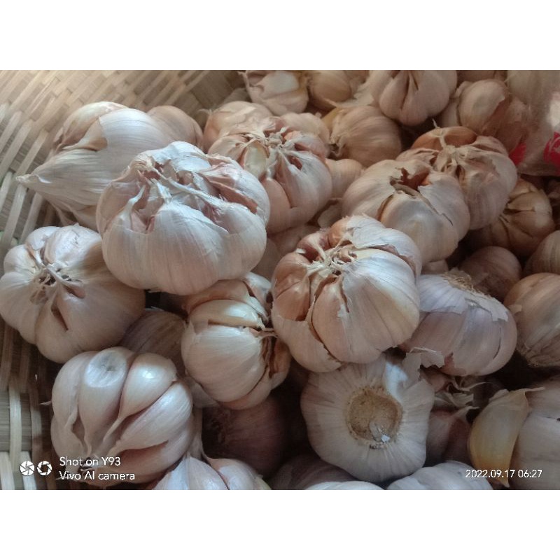 

BAWANG PUTIH 1kg