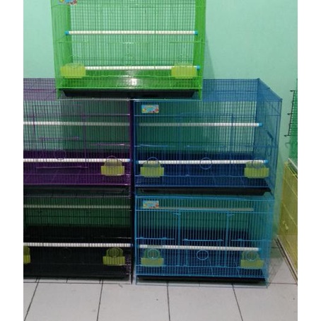 Kandang ternak lovebird / kandang burung
