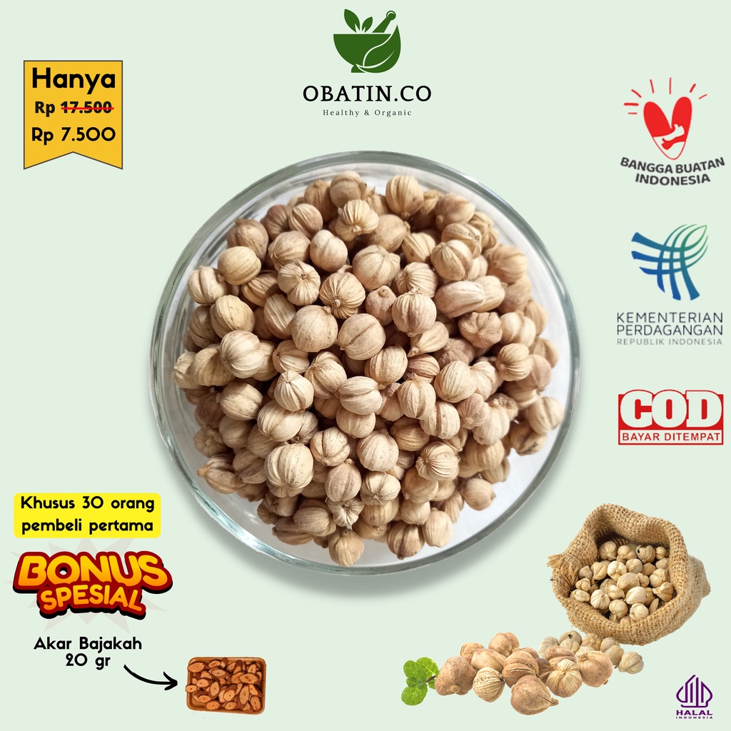 

Kapulaga JSR Rempah Herbal Kapolaga Kering Tanpa Pemutih Asli 100% Grade A