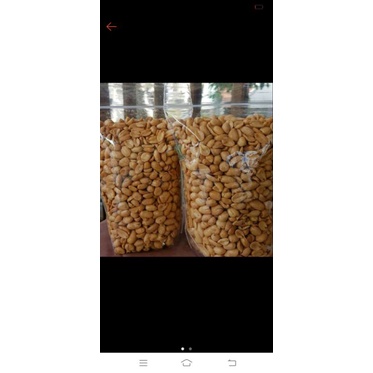 

kacang bawang