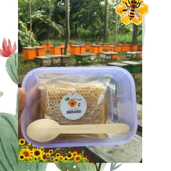 

ぽ [250gr] PROMO Sarang Madu Asli Melifera / Cerana つ
